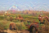 Deep Dream - Kreta nahe Kommos (6)